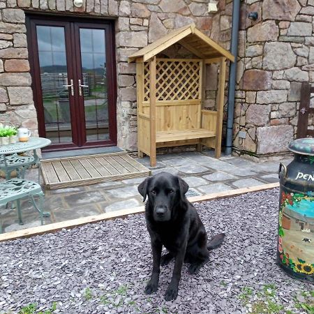 Conwy Pen Cefn Farm Holiday Abergele Exterior foto
